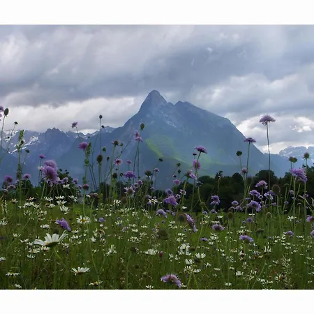 Apartma Apartma Plec