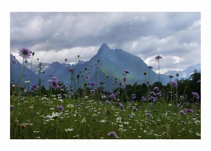 Appartamento Apartma Plec